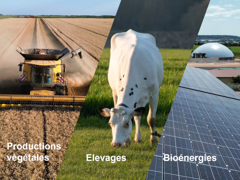 Trois pôles thématiques : Production Végétale, Production Animale et Bioénergie
