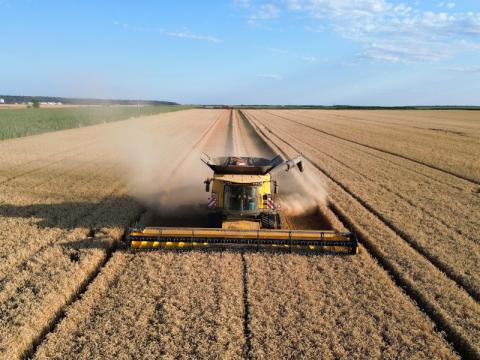 Moisson à la Ferme de Grignon